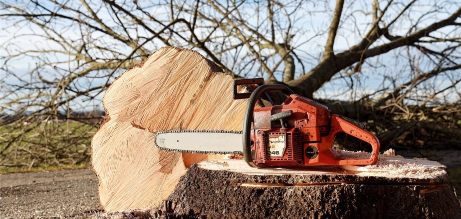 Kettensäge auf dem Baumstumpf eines gefällten Baumes